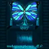 B-RAFF - Metamorphosis E.P. - EP